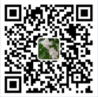 深圳社保代辦